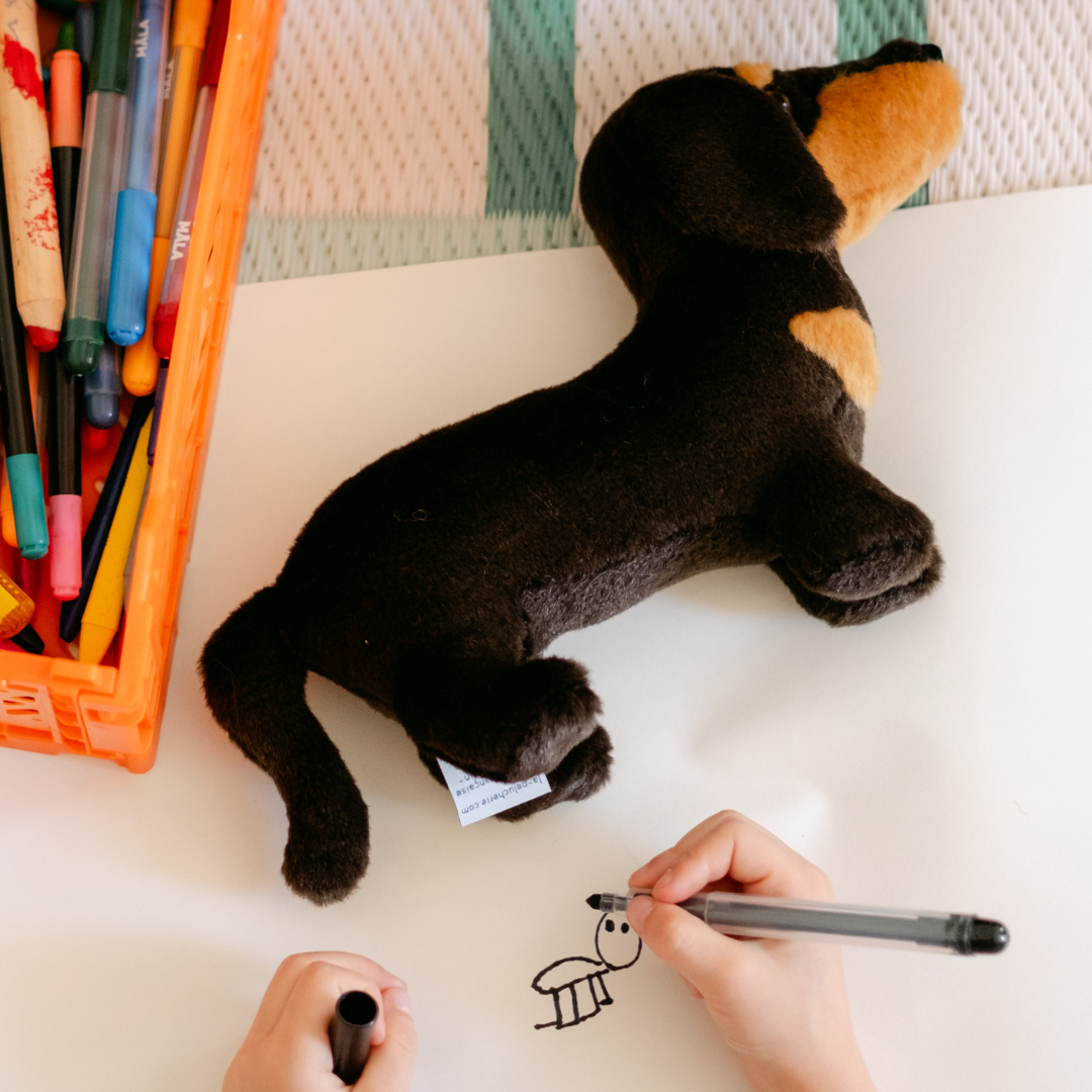 Ma peluche Teckel Eugène