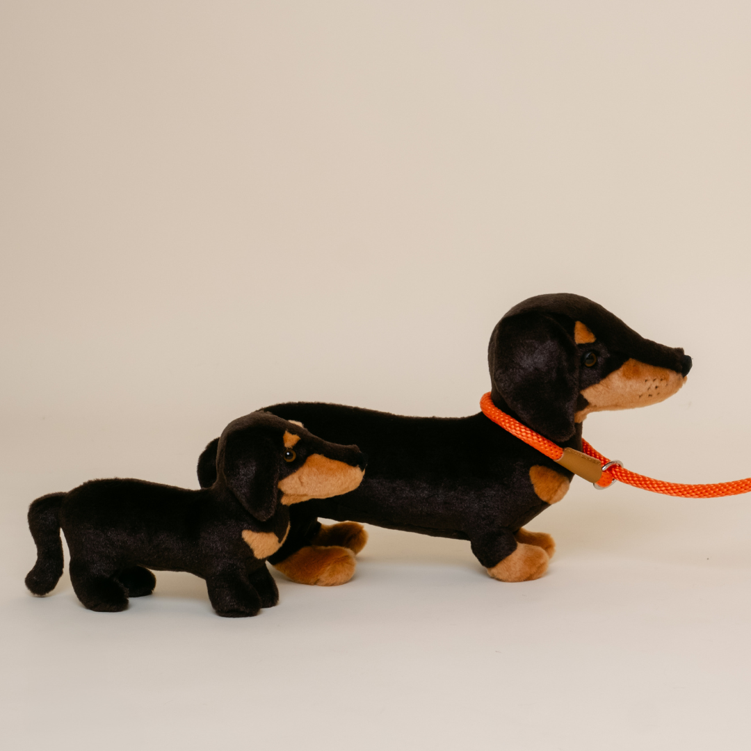 Ma peluche Teckel Eugène