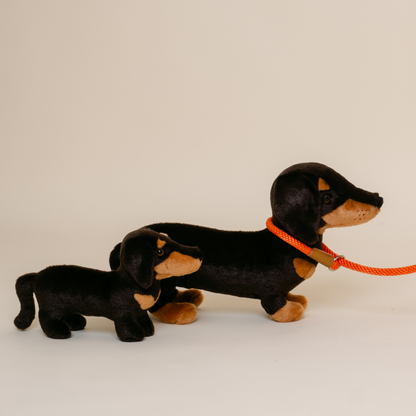 Ma peluche Teckel Eugène