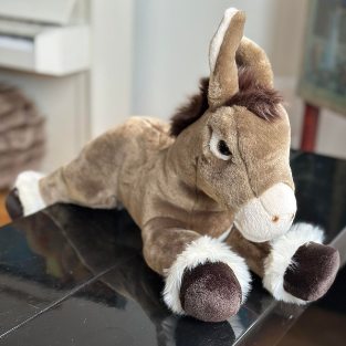 Ma peluche Âne Gaston