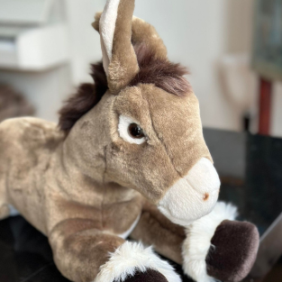 Ma peluche Âne Gaston