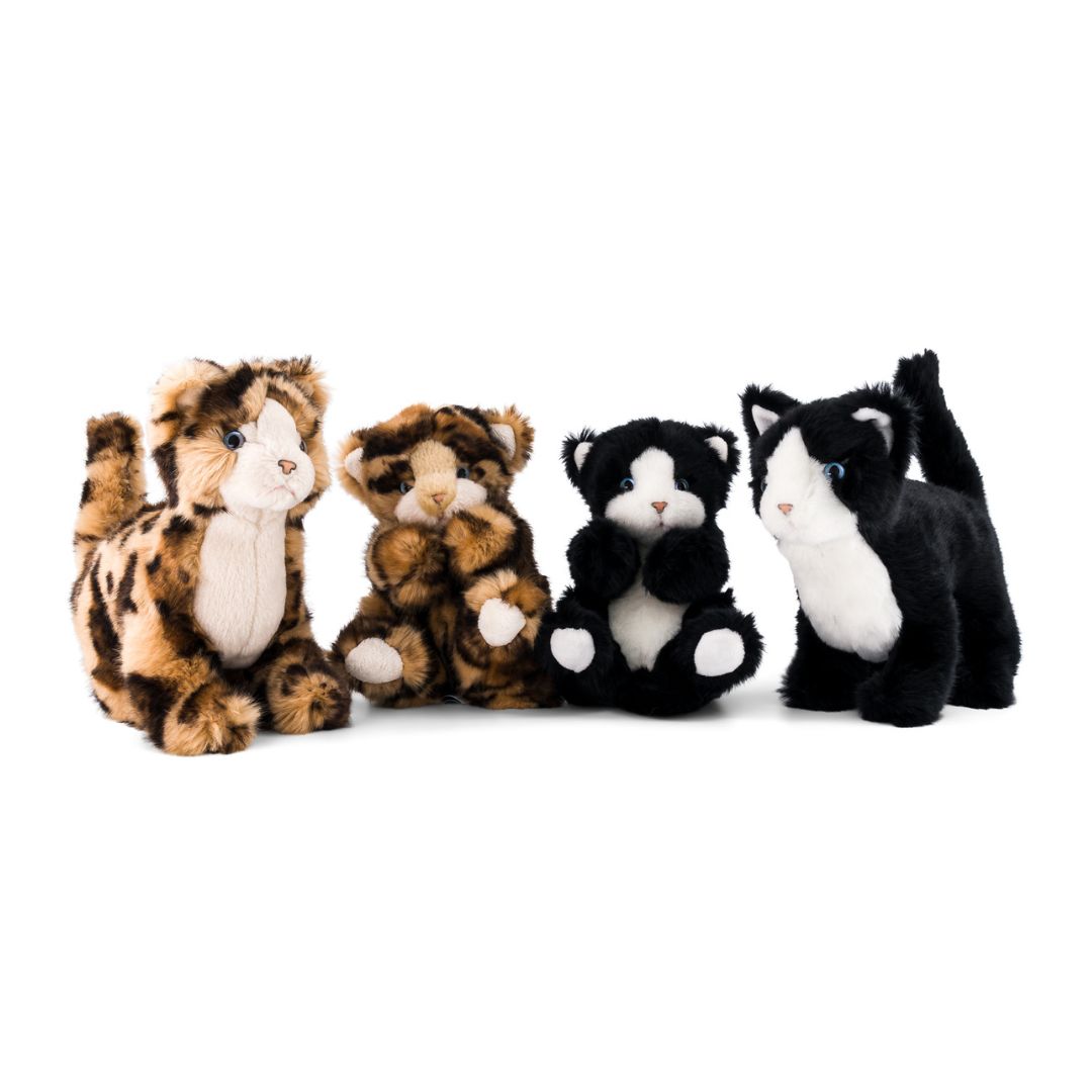 Ma peluche Chat Gustave