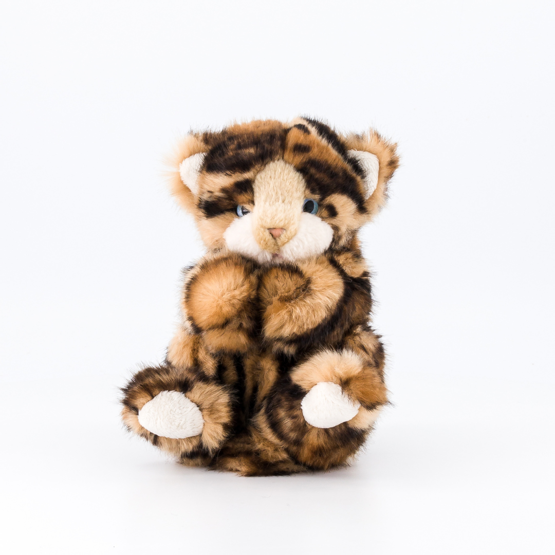 Ma peluche Chat Gustave