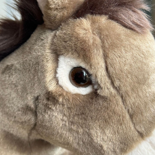 Ma peluche Âne Gaston