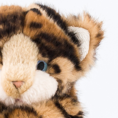 Ma peluche Chat Gustave