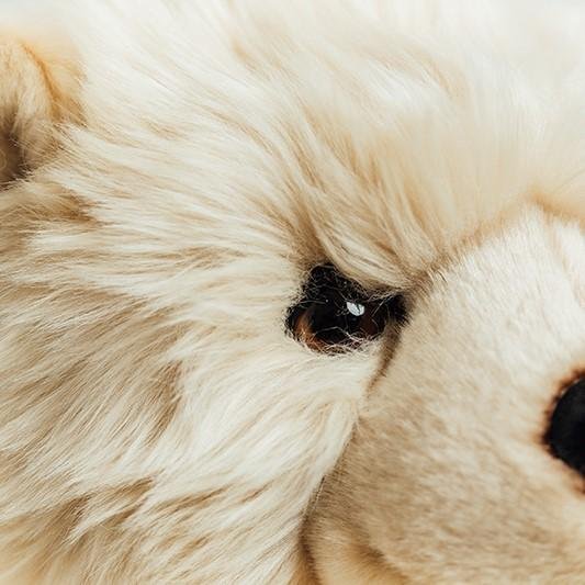 Ma peluche Ours Jules