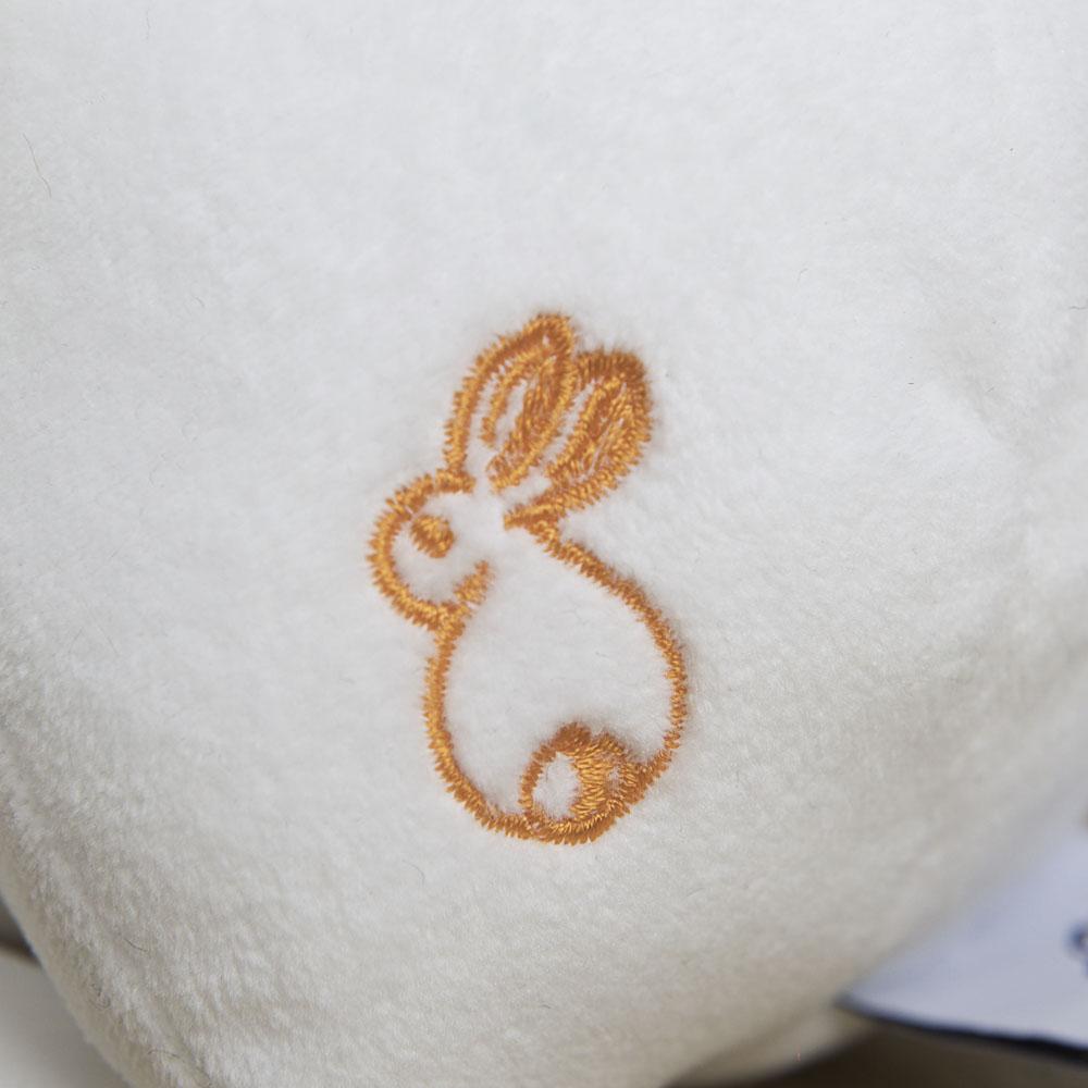 Mon Premier doudou Ours