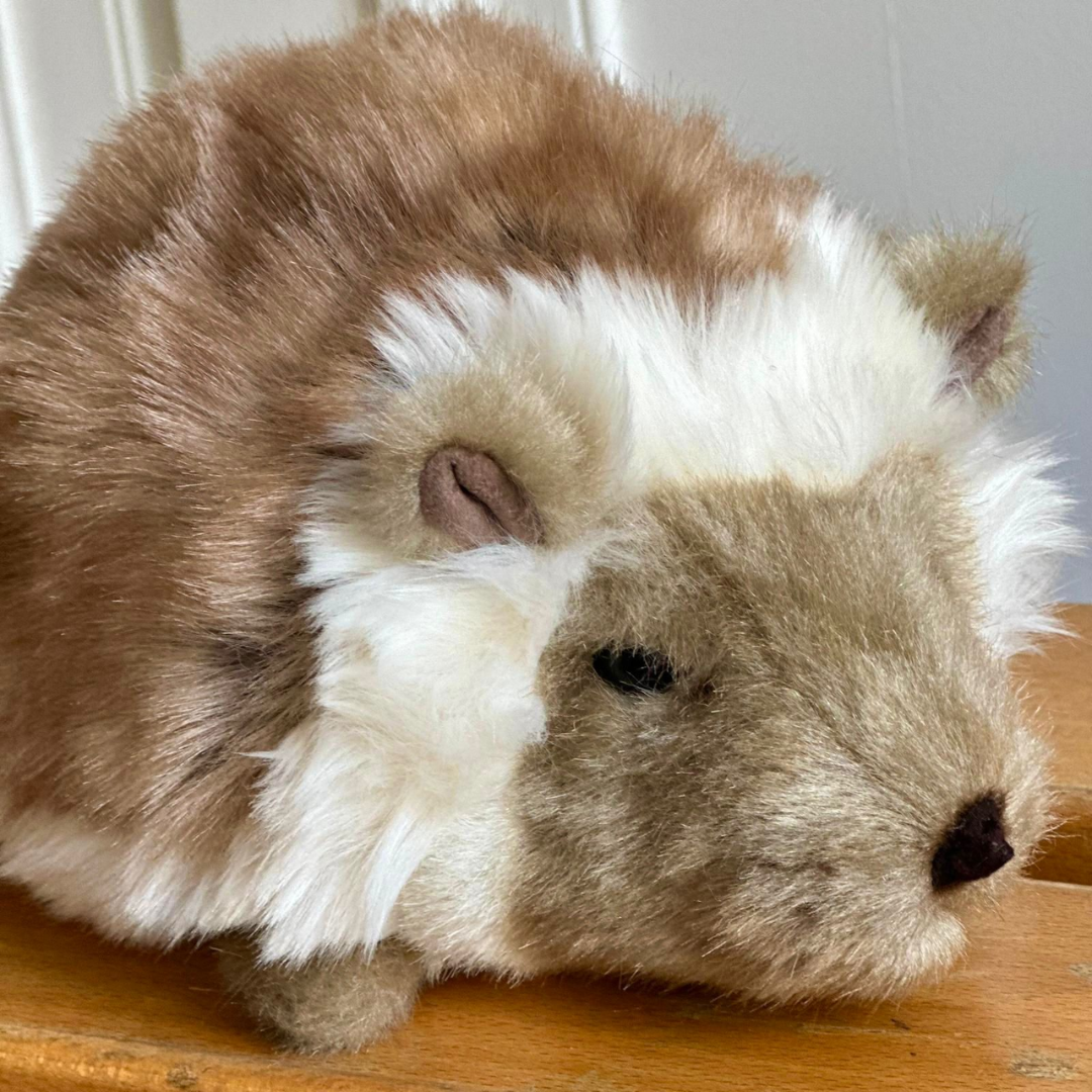 Ma peluche Hérisson Alfred