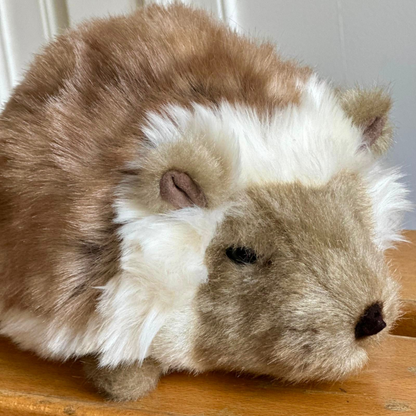 Ma peluche Hérisson Alfred