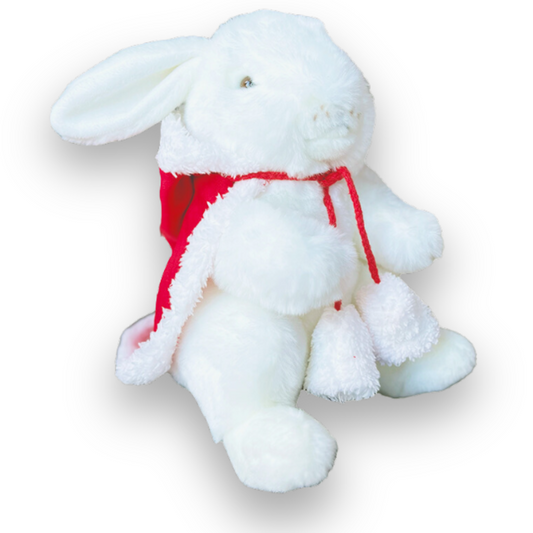 Mon Lapin Ernest de Noël