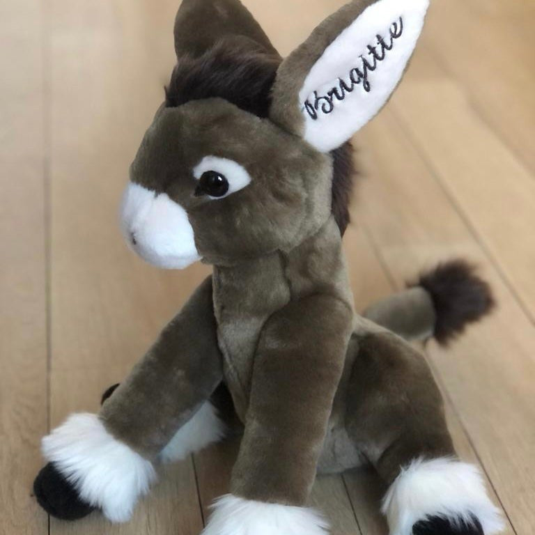 J'ajoute la personnalisation sur l'oreille de Mon Ane Gaston (80 €)