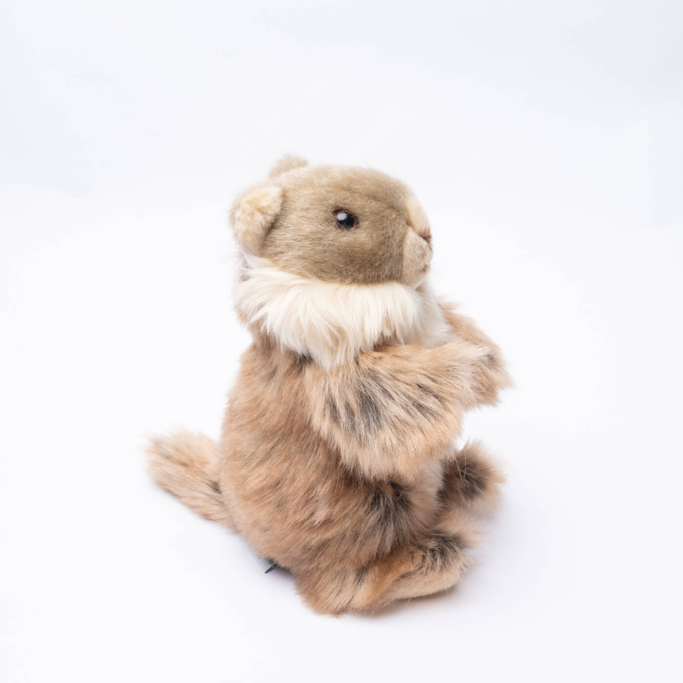 Ma peluche Marmotte Julie