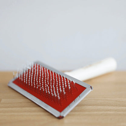 Brosse carde