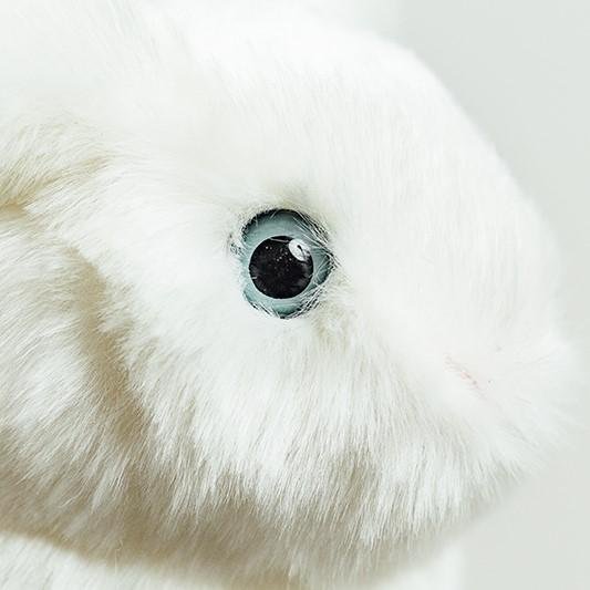 Ma peluche Lapin Léon