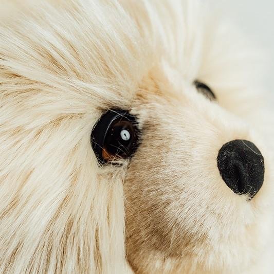 Ma peluche Ours Jules