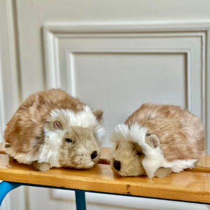 Ma peluche Hérisson Alfred