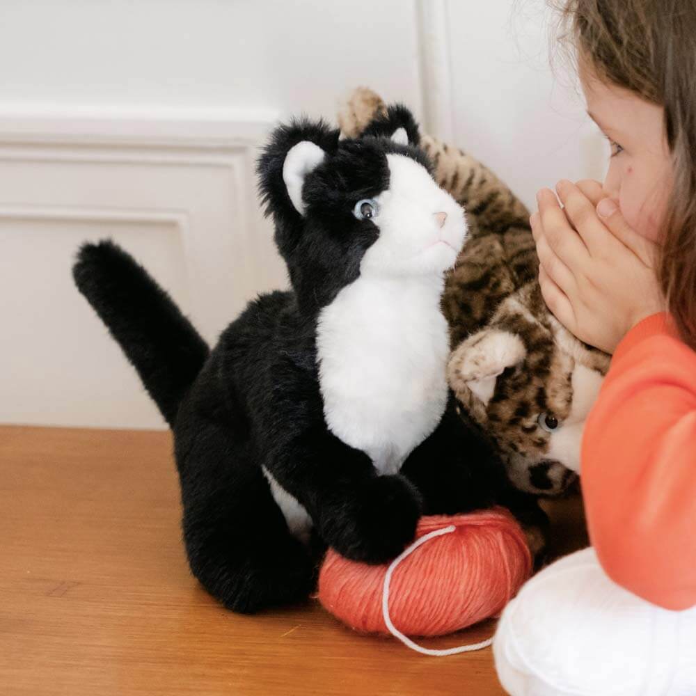 Ma peluche Chat Gustave