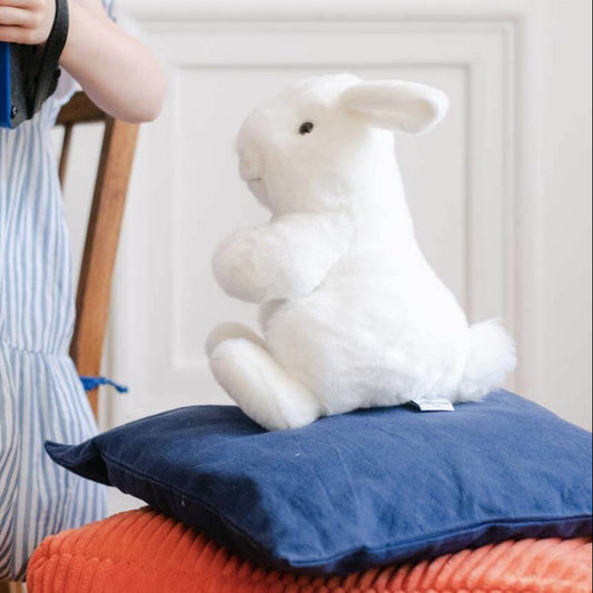 Ma peluche Lapin Ernest