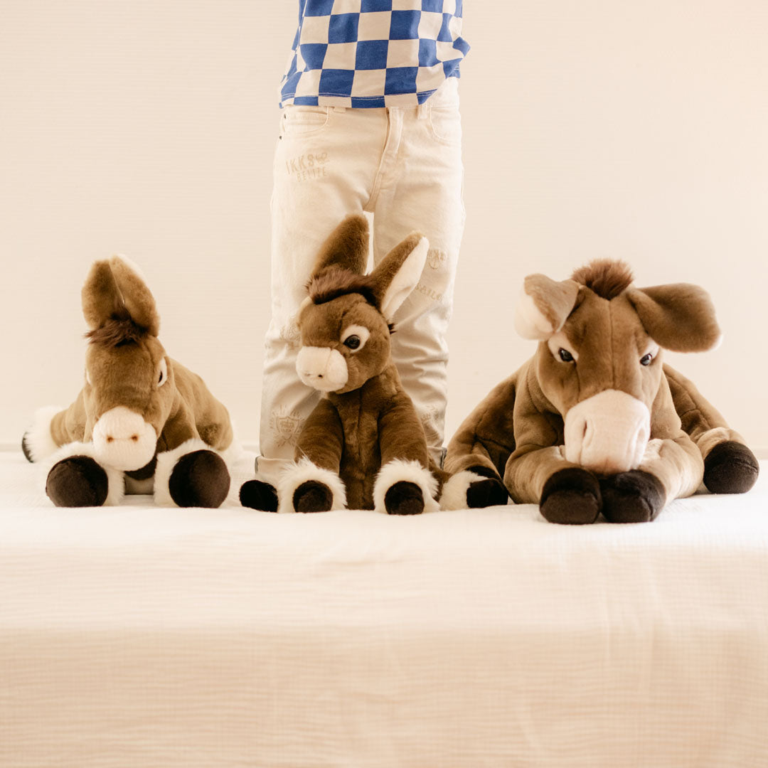 Ma peluche Âne Gaston