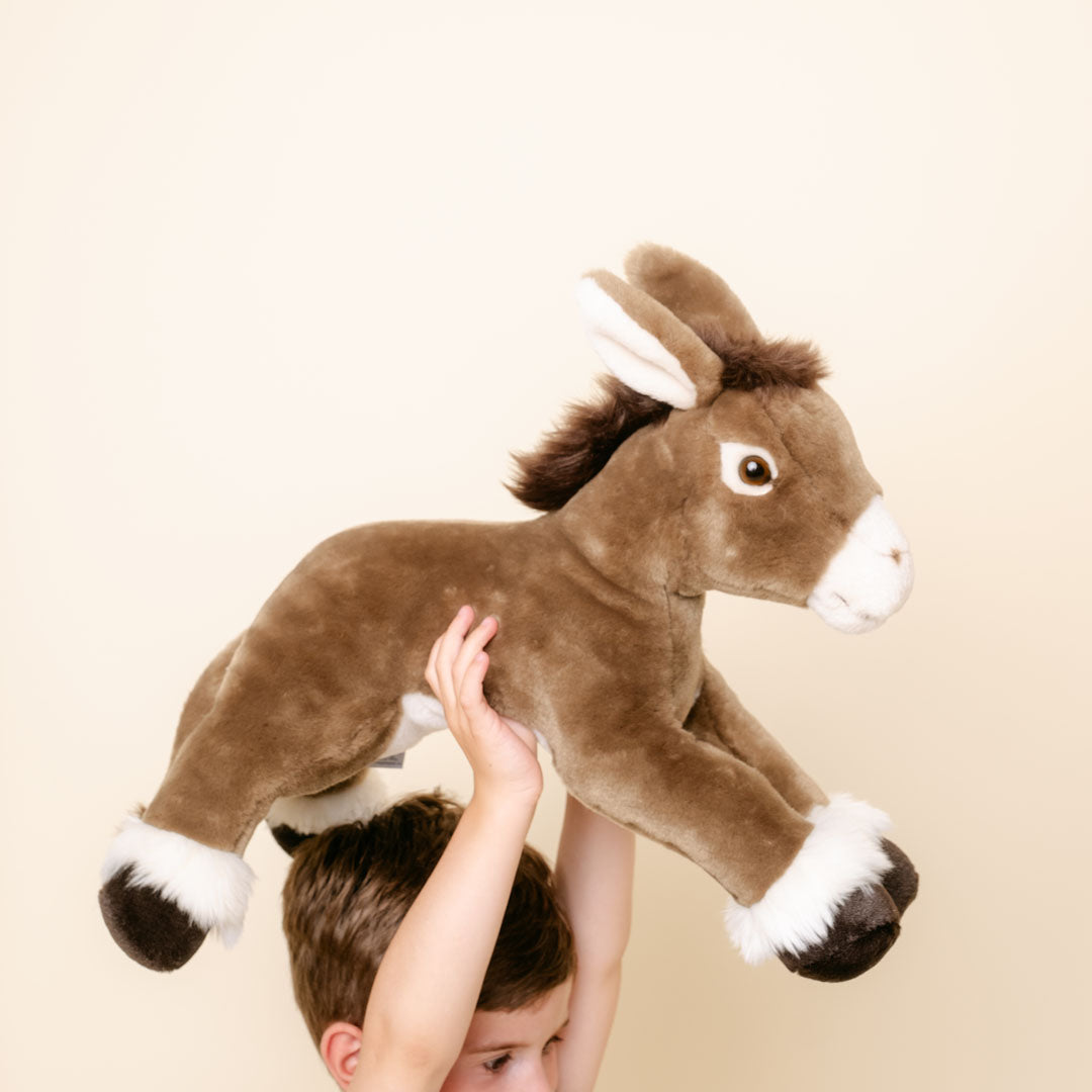 Ma peluche Âne Gaston