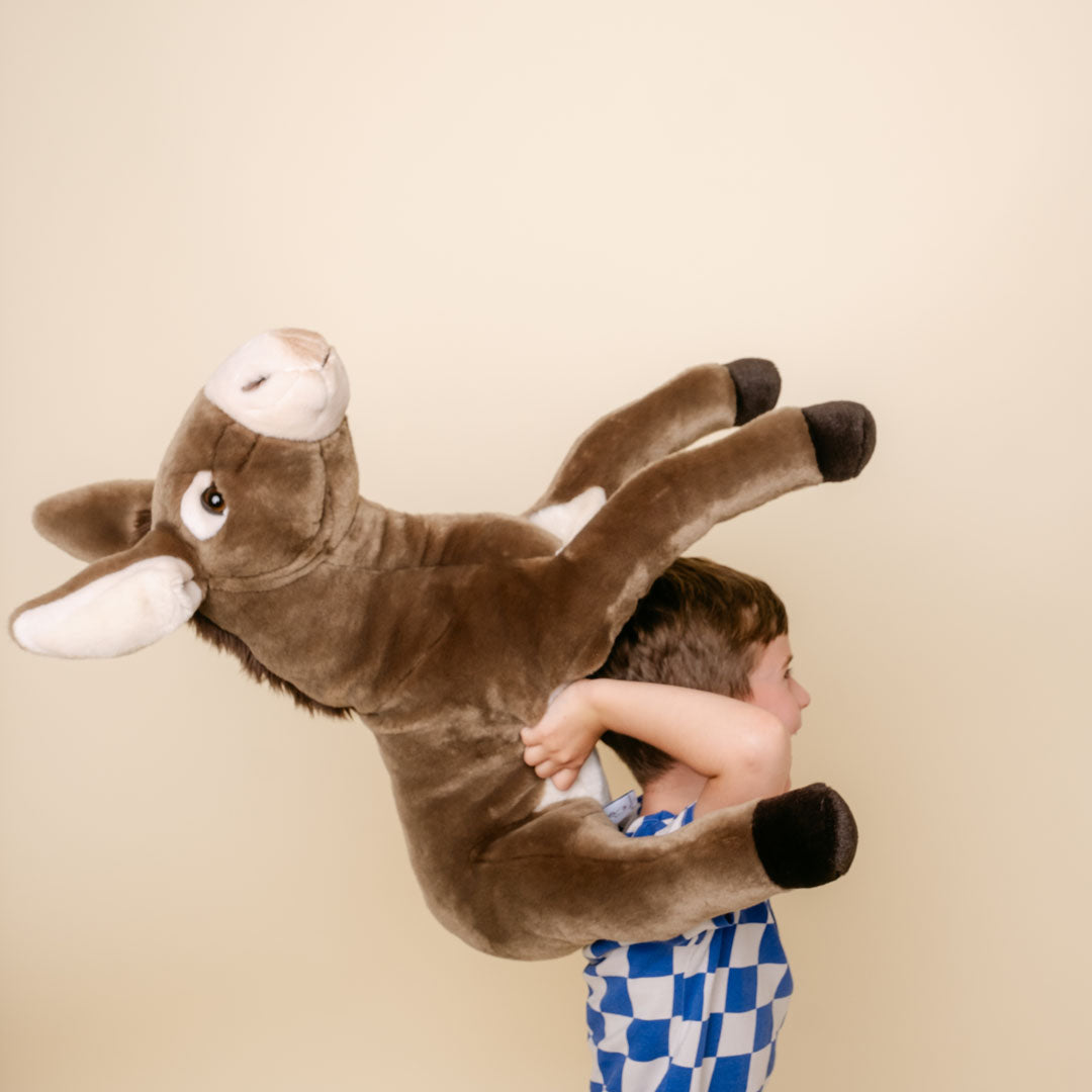 Ma peluche Âne Gaston