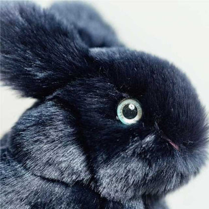 Ma peluche Lapin Léon