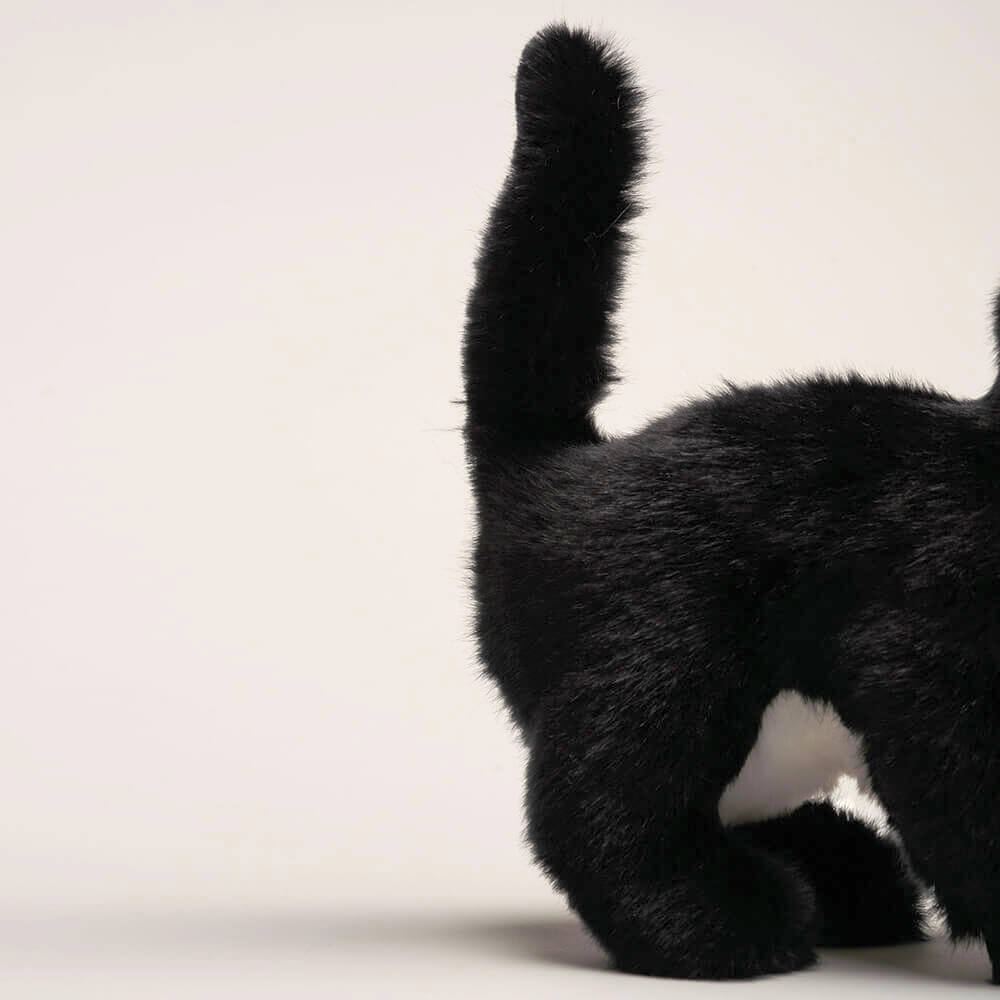 Ma peluche Chat Gustave