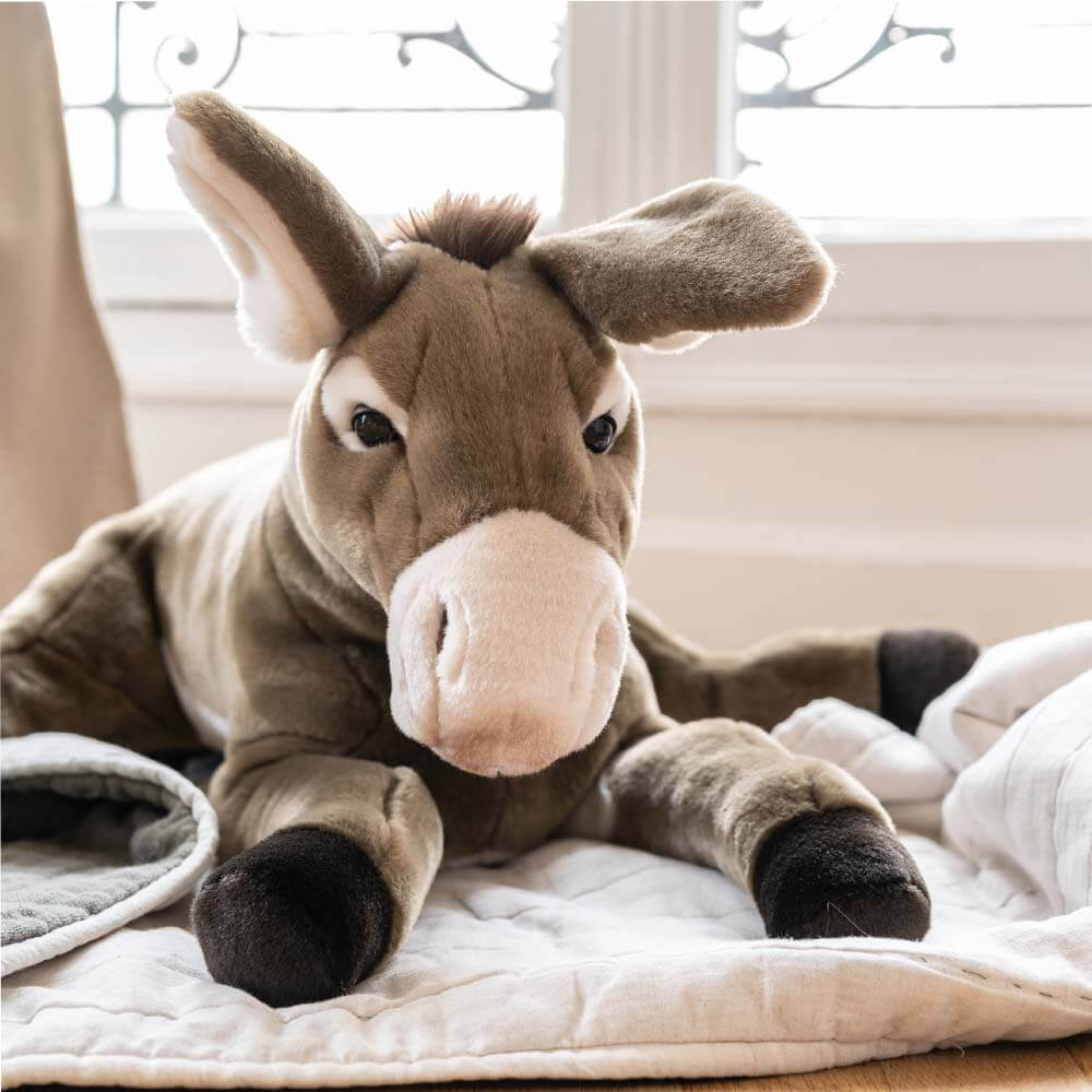 Ma peluche Âne Gaston