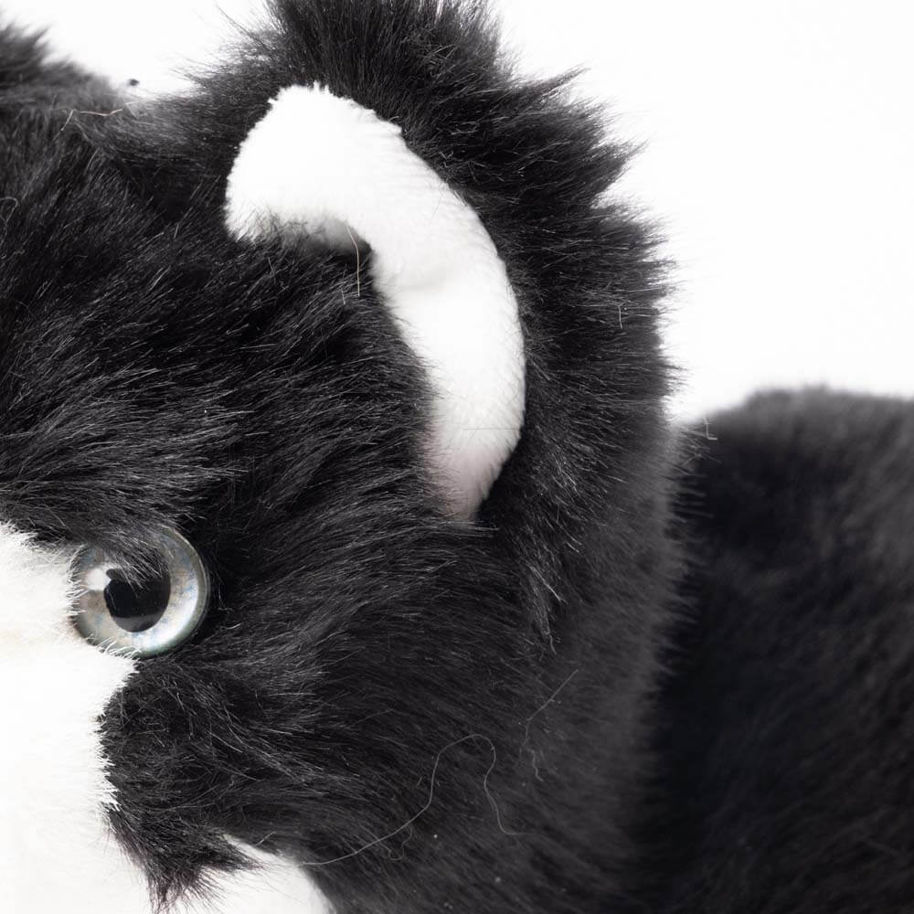 Ma peluche Chat Gustave