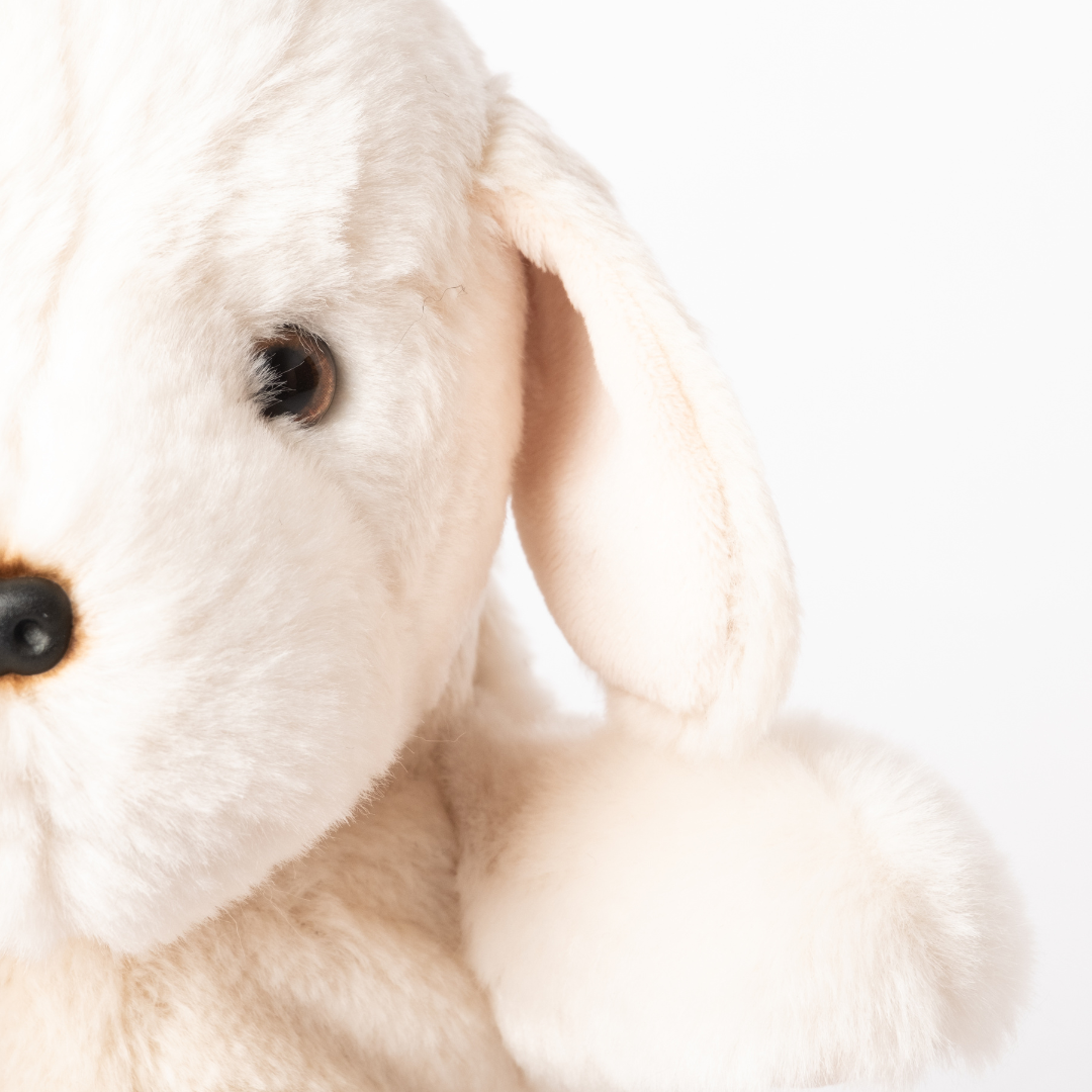 Ma peluche Labrador Marius