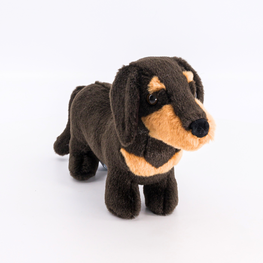 Ma peluche Teckel Eugène